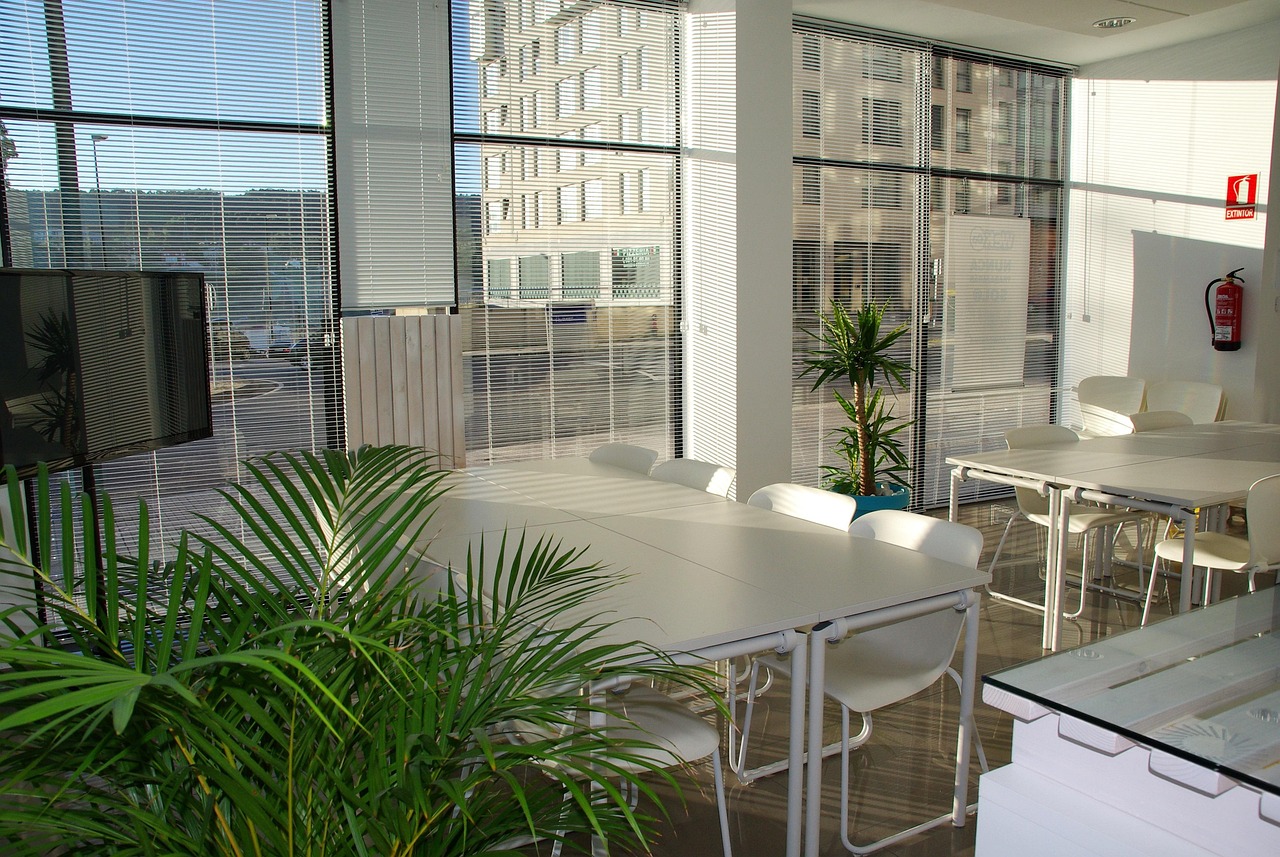 A sunlit coworking space with plants and long tables